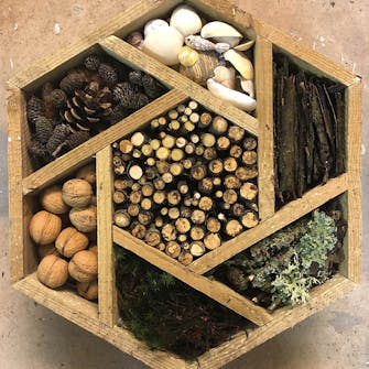 Hjemmelavet Insekthotel Hjemmelavet Insekthotel